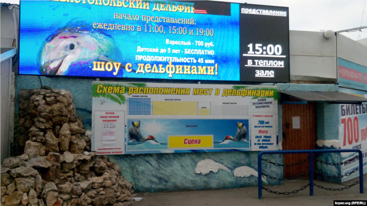 дельфинариq в Артиллерийской бухте