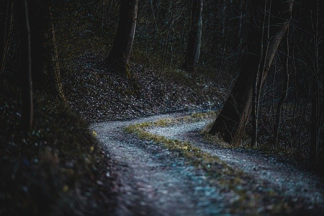 ночная дорога в лесу страшно
