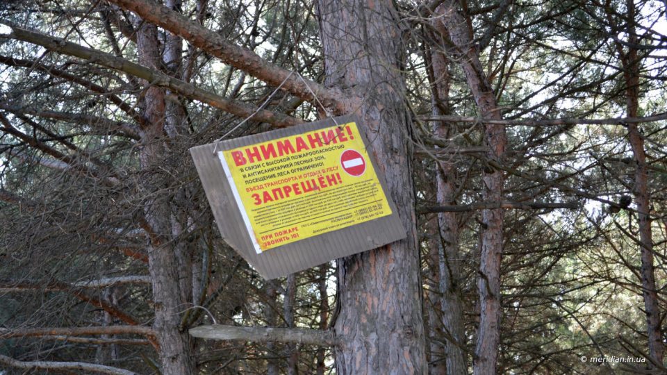 пожароопасный период в лесах