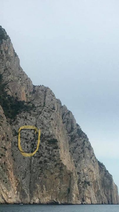 На мысе Айя близ Севастополя попала в беду собака, она застряла на обрыве
