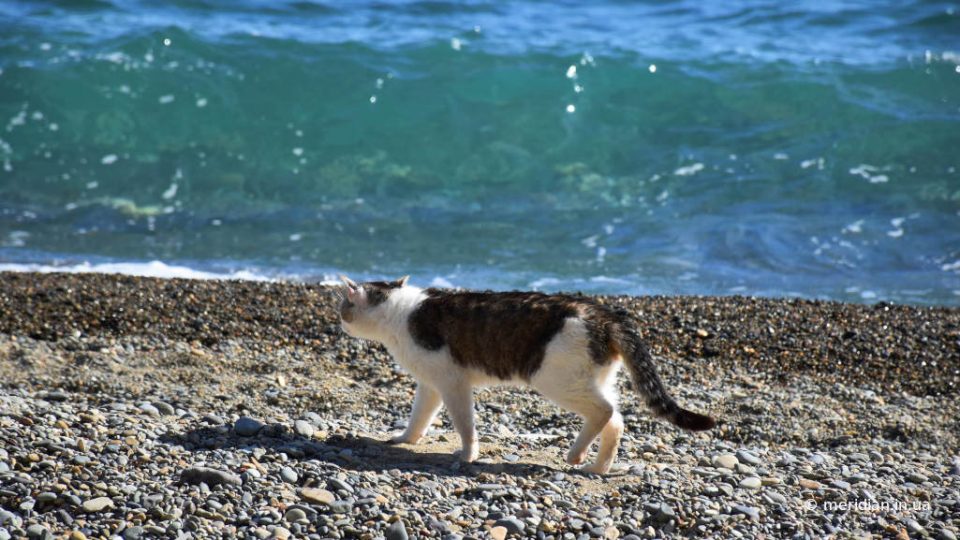 самая тёплая морская вода