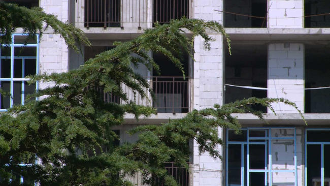 деревья вырубают ради стройки
