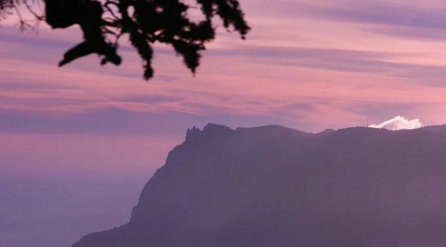 в Алуште