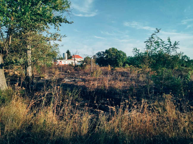 горит трава в Севастополе