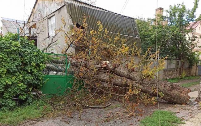 На частный дом в Симферополе упало дерево