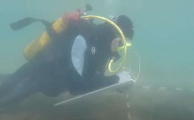 Уникальные находки скрываются на дне моря. У побережья Керчи завершился сезон раскопок затопленного города Акра