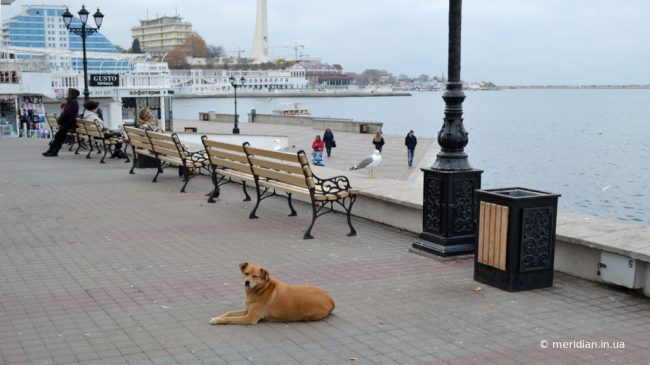 в Севастополе похолодает
