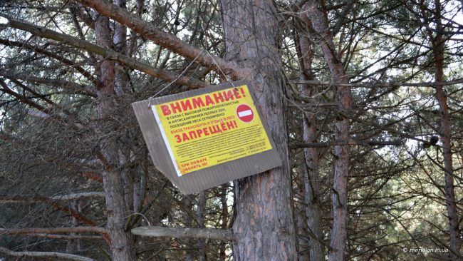 Запрет на посещение лесов