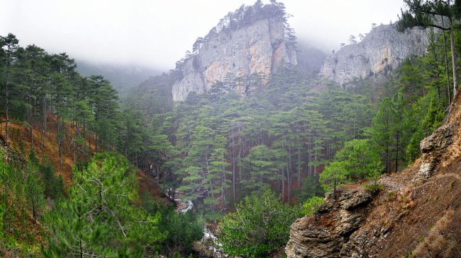 в урочище Уч-Кош в Крыму