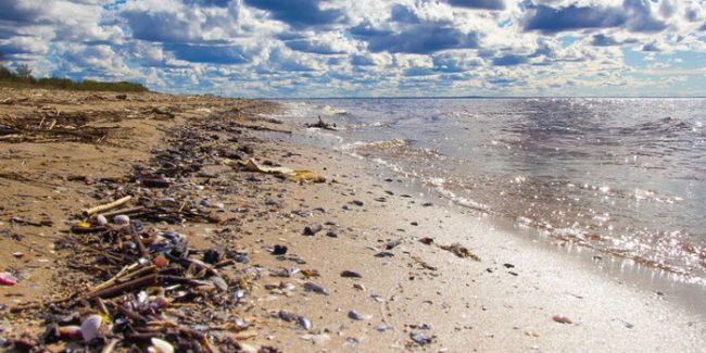 чем «богаты» прибрежные воды Севастополя