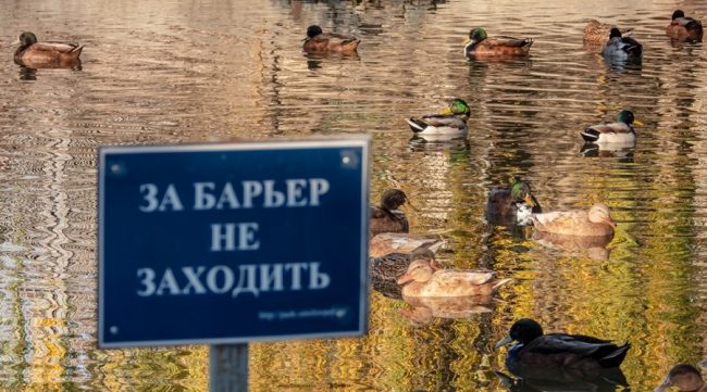 Зооуголок в Детском парке Симферополя
