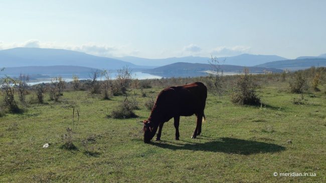 Байдарская долина Севастополя