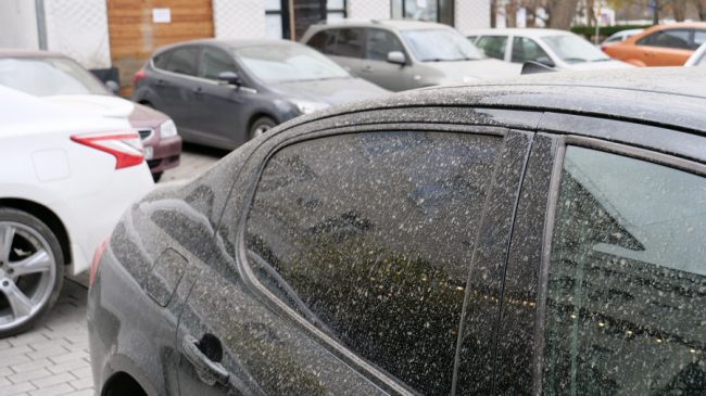 Рыжий грязевой дождь напугал жителей Севастополя