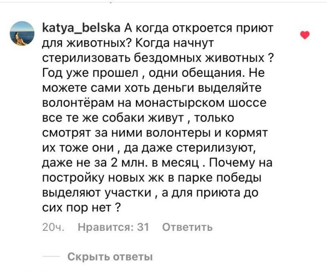 Обещанный до конца года приют для животных в Севастополе не появится