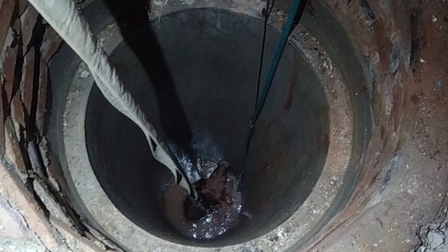 Бык упал в узкую яму в евпаторийском дачном кооперативе «Сосновый бор»