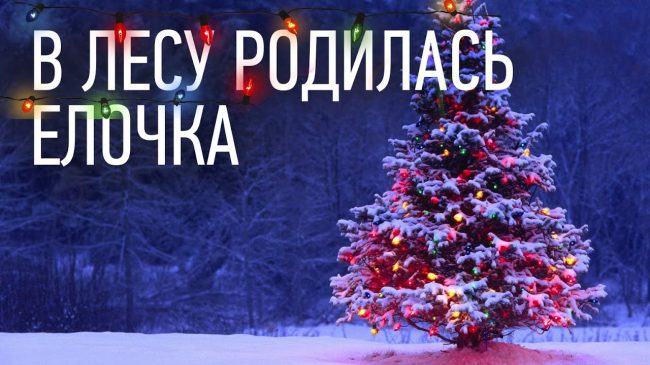 песня «В лесу родилась елочка»