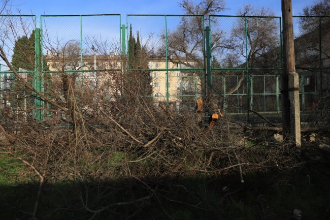 Горожане возмущены массовой вырубкой деревьев строителями.