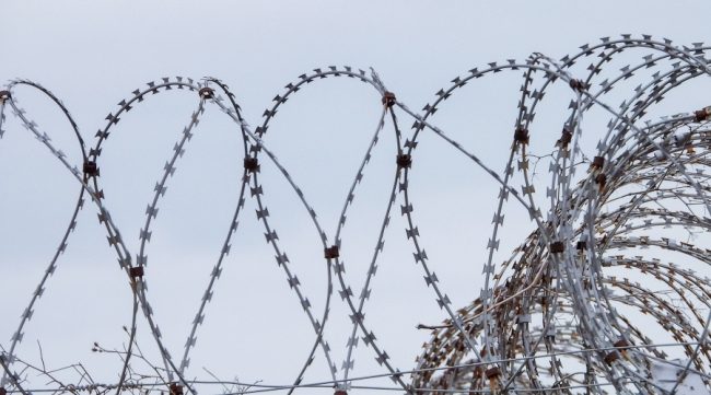 коючая проволока зона