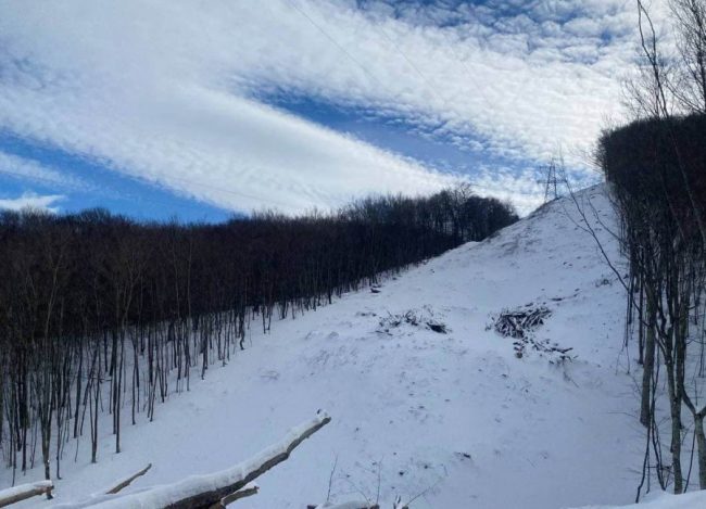 просека через лес в Севастополе