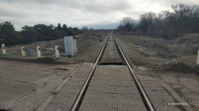 погибла под колесами железнодорожного состава