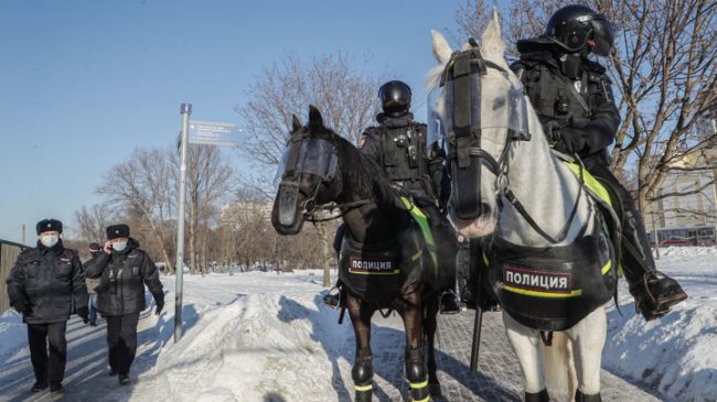 В Севастополе вводят конную полицию