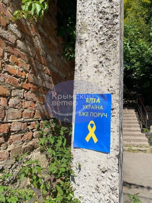 Как работают в Крыму активисты движения «Желтая лента»