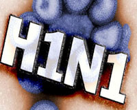 свиной грипп H1N1
