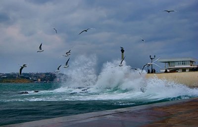 шторм в Севастопольской бухте