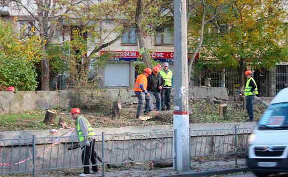 В районе остановки «Улица Кожанова» спилили около 50-ти деревьев