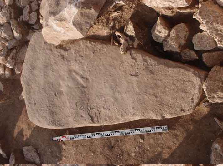 При исследовании ещё одного кургана археологи в центре каменной кольцевидной конструкции обнаружили четыре человеческих скелета