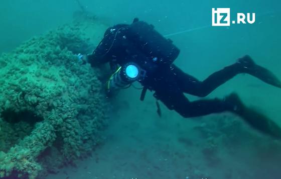 Археологи исследовали немецкий бомбардировщик времен Второй мировой войны, обнаруженный в Черном море в районе мыса Тарханкут