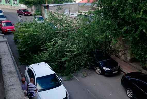 В Севастополе у штаба Черноморского флота на машины рухнуло дерево (фото)