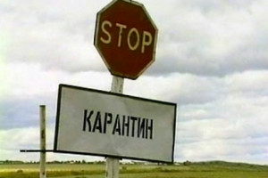 карантинная зона, объявлен карантин