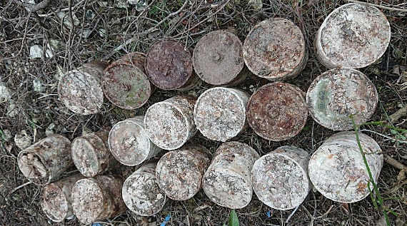 Грибники нашли в лесу под Севастополем два десятка ручных противотанковых гранат времен Великой Отечественной войны