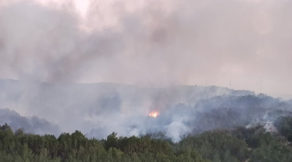 Спасатели ликвидировали лесной пожар на площади 36 гектара в Бахчисарайском районе
