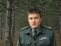 Зачистка леса в Орлином (ВИДЕО)