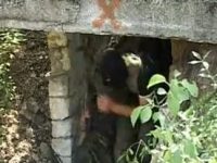 Украина готовит разведчиков (видео)