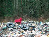 Севастопольские леса превращены в мусорные полигоны (фото)