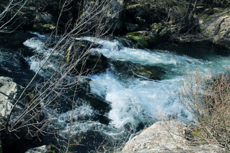 река Черная весной