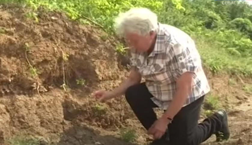На месте виноградника в Балаклаве обнаружили человеческие останки