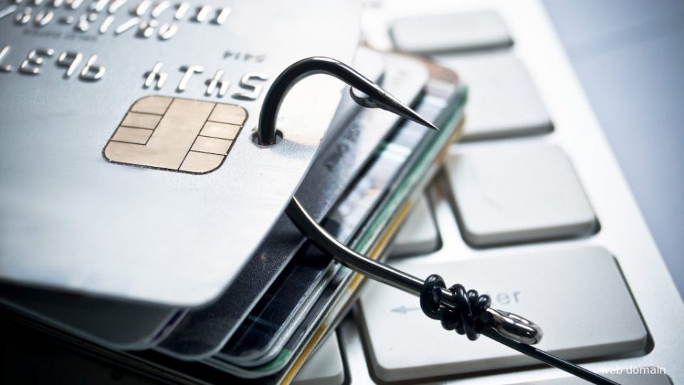 В Севастополе наиболее часто встречающимся видами кибермошенничеств является операции с банковскими картами